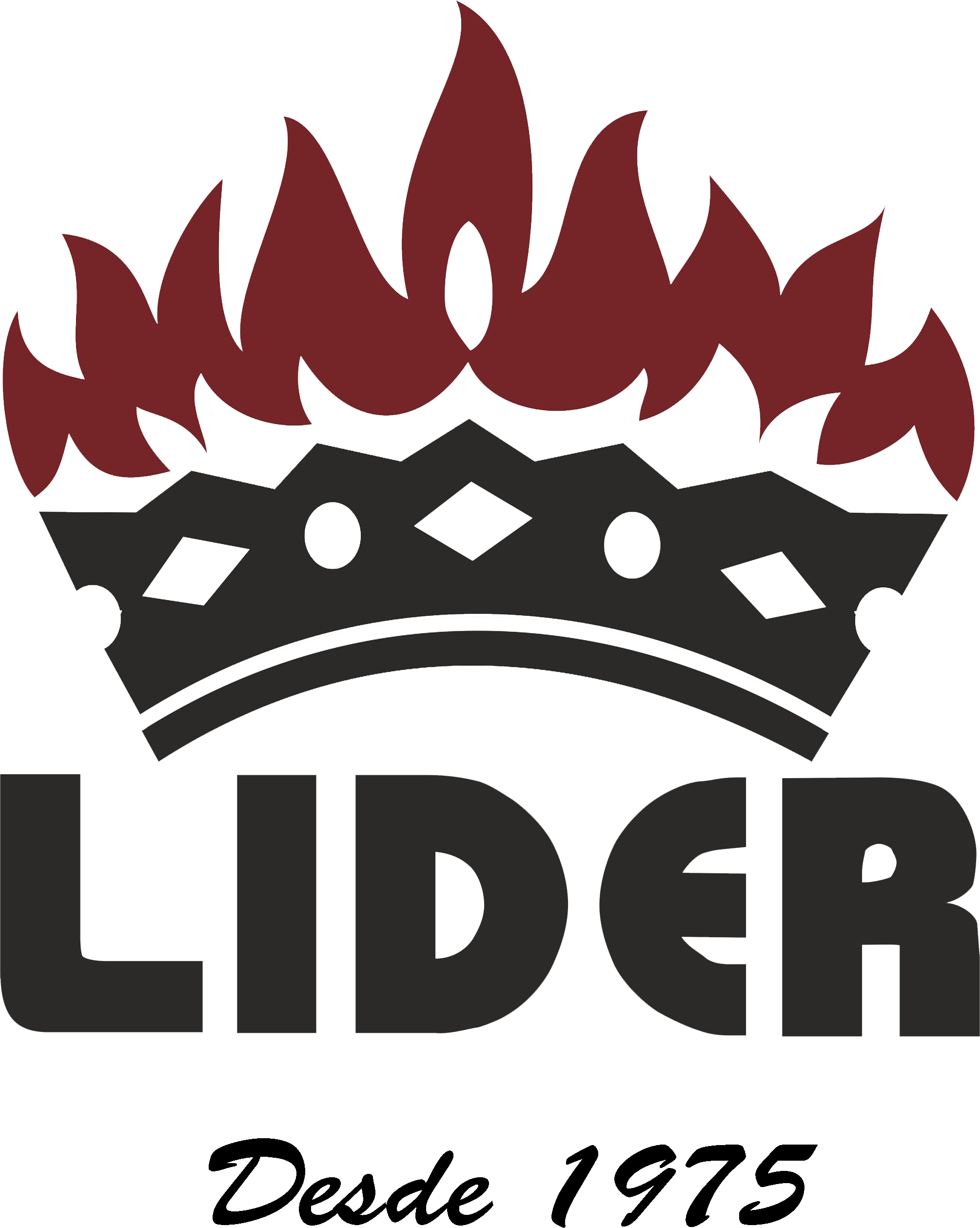 LÍDER Protección Contra Incendios